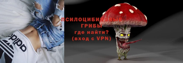мяу мяу кристалл Арсеньев