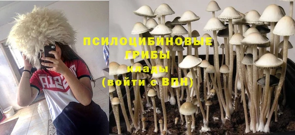 твердый Армянск