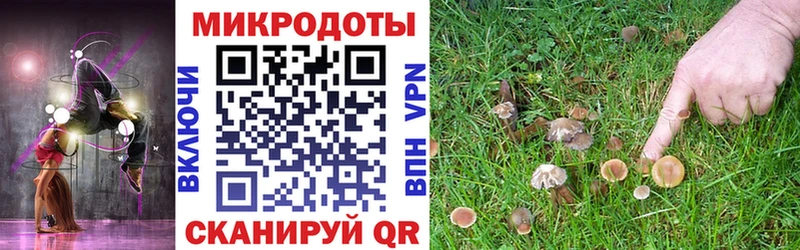 купить наркоту  Островной  Галлюциногенные грибы MAGIC MUSHROOMS 